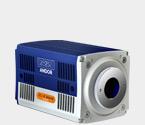 zl wave bg grey.3f2179eee6faeed370a7e171f0938347
