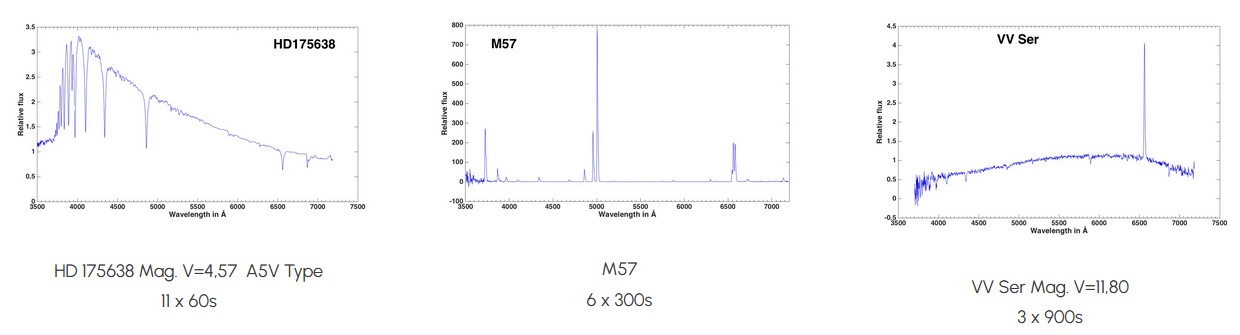 bsp1